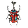 New Arrival Rhinestone Bug Brooches For Women Enamel Beetle Pin Vivid Insect 2 Colors Available