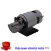 High-Frequency 775 DC Vibration Motor 12V/24V Eccentric Sector