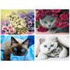 Huacan Алмазная картина Алмазная вышивка 5d diy полностью квадратные животные кошка-алмазная мозаика