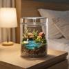 Transparent Glass Terrarium Cylinder Perforated Cover Desktop Glass Vase Decorative Succulent Moss Viewing Bottle Desktop Decor