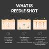 VT Reedle Shot 300 Mini