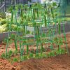 Cucumber Trellis for Garden 48 Inch A-Frame Plant Trellis Set with Net