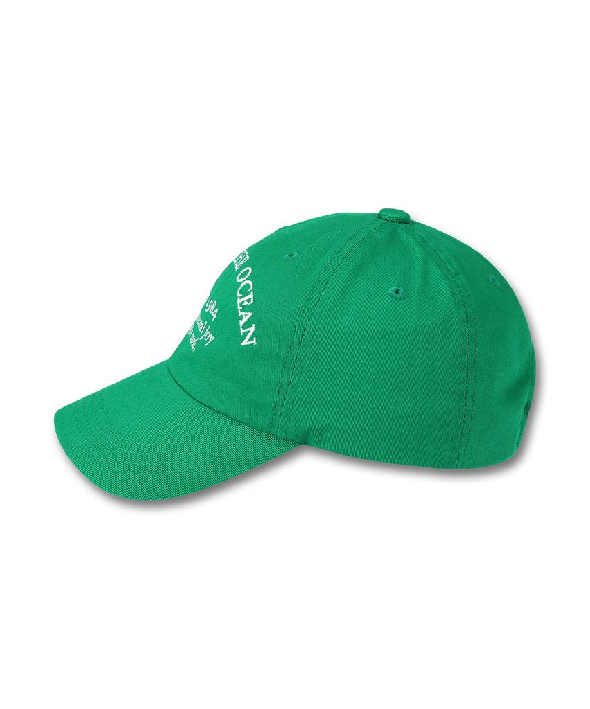 DOLPHIN WAVE APPAREL Бейсболка с надписью DOLPHIN WAVE Зеленая
