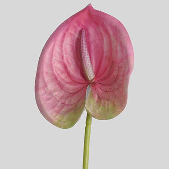 1 ветка искусственный цветок свежий художественный 3D-принт элегантный яркий искусственный антуриум