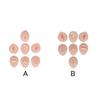 Soft Silicone Flexible Model Body Part Displays Set