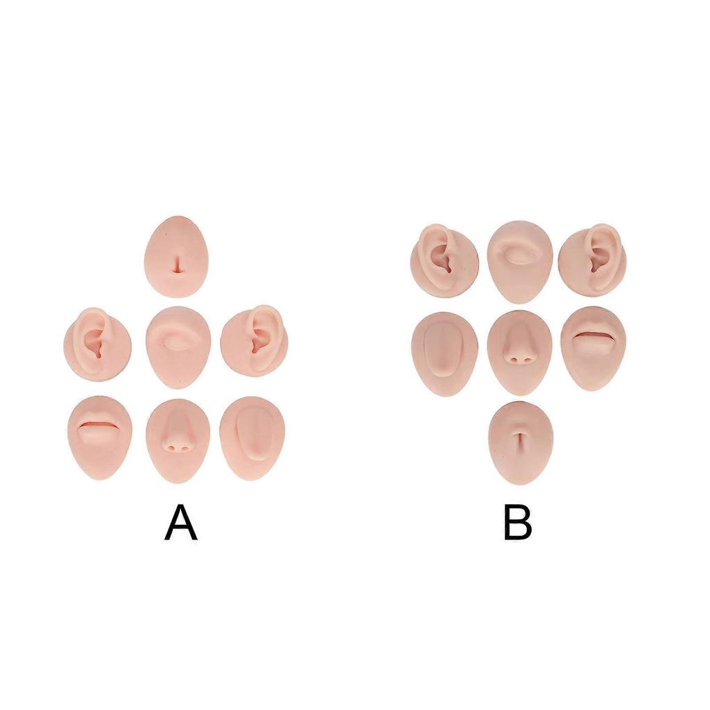 Soft Silicone Flexible Model Body Part Displays Set