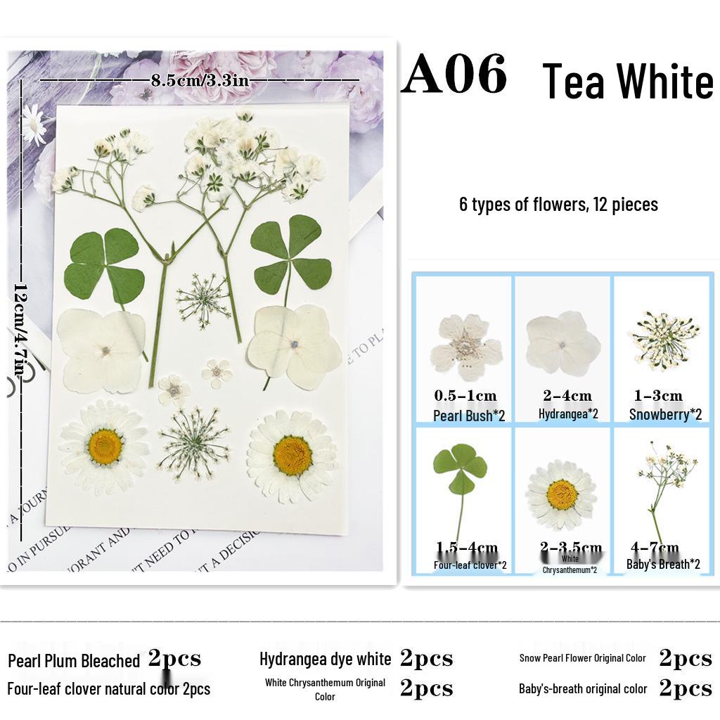 Maifeng Pressed Flower Art Pack: Dried Flower Material and Real Plant Specimens.