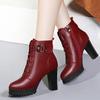 Fashion Autumn Women's Platform Shoes New Plus Velvet Chunky Heel Heeled Ankle Boots for Women Winter Keep Warm Ladies Short Boots
