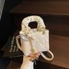 High-end Niche Bag Women's Autumn and Winter 2025 New Fashion Shoulder Messenger Bag Women's Portable Princess Diana Bag