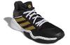 adidas Harden Stepback 'Черное Золото' FX7655