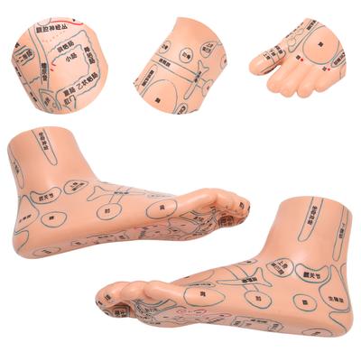 2 шт. 19 см / 7,5 дюйма Модель акупунктурных точек стопы Учебные пособия по акупунктуре Принадлежности Модель стопы