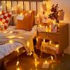 LED Fairy Lights Photo Clip String Lights USB/AA Battery Powered String Lights Bedroom Christmas Party Wedding Decoration