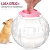 2 шт. Шар для упражнений для хомяка 5,7 дюйма Прозрачный спортивный мяч для питомца для мелких животных Веселые и интерактивные игрушки для хомяка для здоровой активности