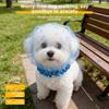 Face Cover Dog Anti-Eating Headgear Anti-Mosquito Eating Dog Protective Veil  Pomeranians Bichons