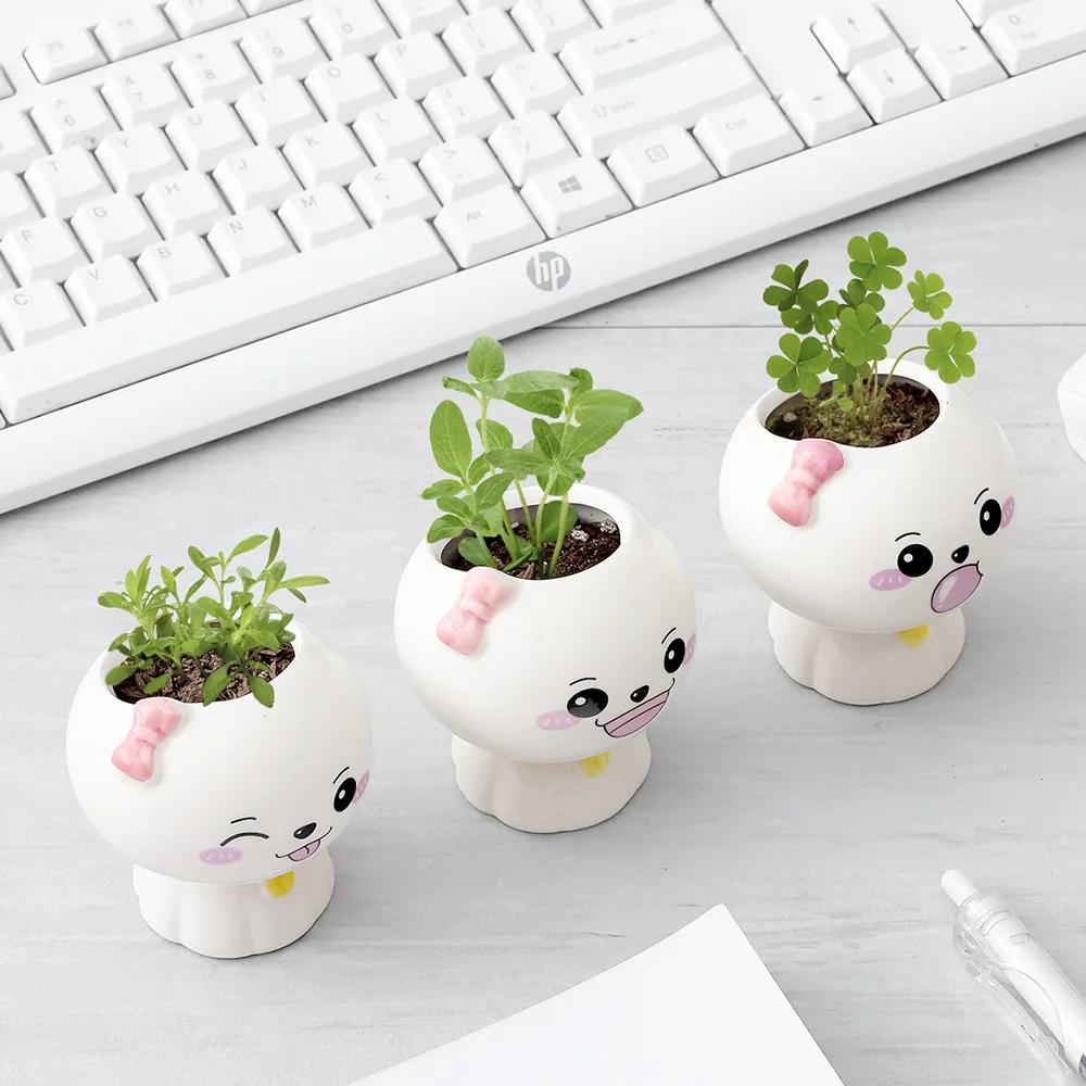 Новая мини-кукла, милый цветочный горшок, цветочный горшок, керамический суккулент, горшок, творческий DIY, детские игрушки, наука, образование, подарок, домашний декор