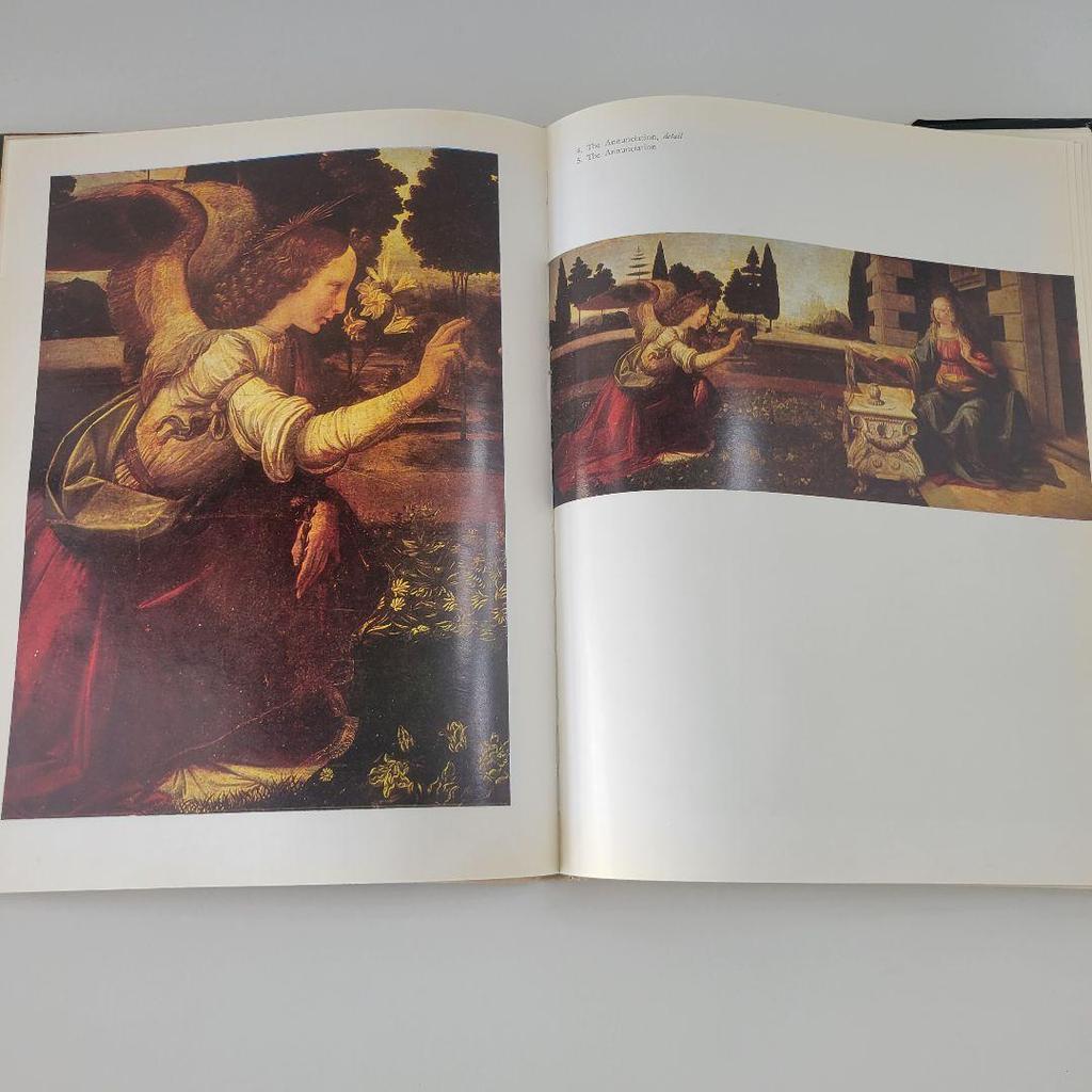 [USED] Foreign books Leonardo da Vinci