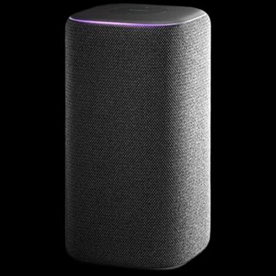 Умная колонка Xiaomi Pro с китайской вилкой (адаптер в комплекте)