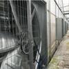Industrial Negative Pressure Exhaust Fan