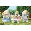 Куклы Sylvanian Families Кролик ST Mark Возраст 3+ и Игрушка Sylvanian EPOCH [Семья Флоры] FS-50 Сертифицировано, Вверх, Кукольный домик, Семьи,