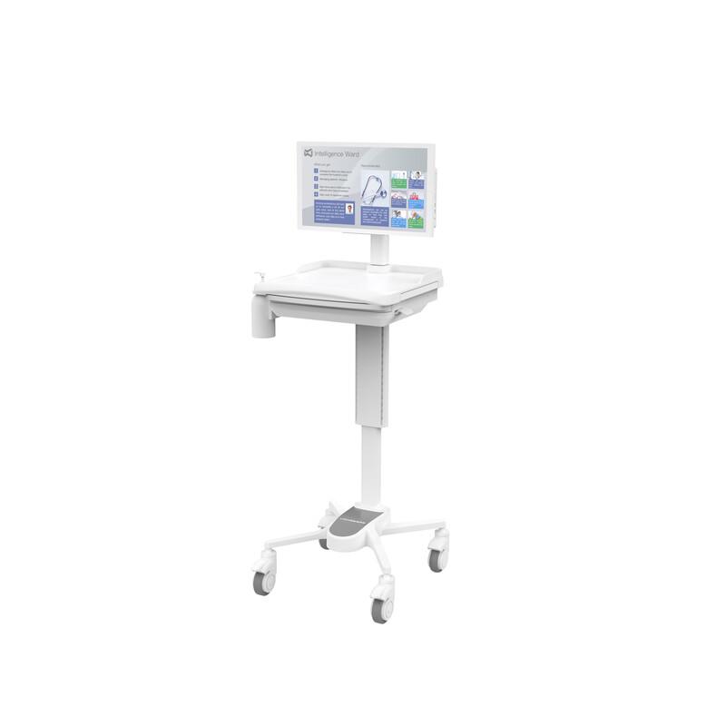 LACHESIS DS826-S 21.5-inch All-in-One PC (CN version)