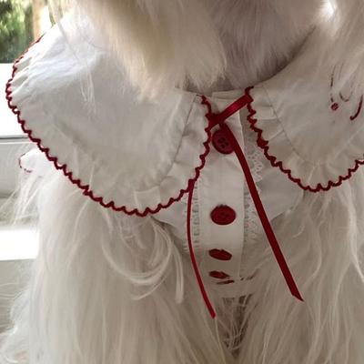 Одежда и обувь – Платья для собак