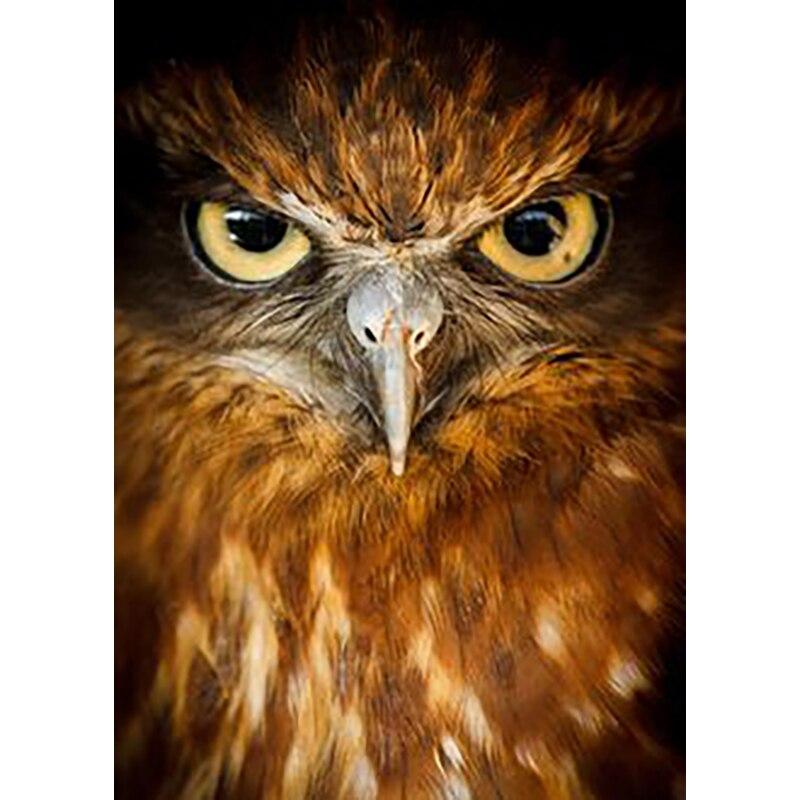 5D DIY Алмазная картина Белоголовый орлан Алмазная вышивка животных вышивка крестиком полная круглая дрель ремесла ручной домашний декор подарок