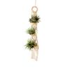 1Pcs Tassels Plant Hanger Macrame Air Hanging Air Pineapple Holder Wall Plant Basket Boho