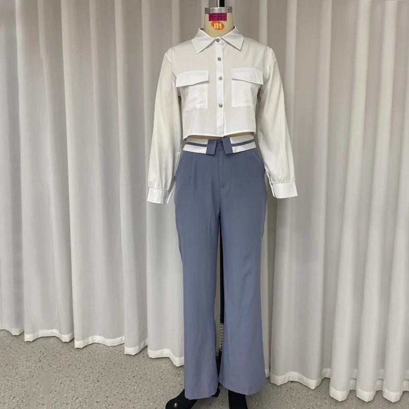 Женский комплект из двух предметов, осенний офисный простой однотонный однобортный комплект с длинными рукавами-фонариками, рубашка на пуговицах, топ, свободные брюки, новинка 2024 года