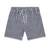 Мужские плавательные шорты Быстросохнущие Свободные Повседневные Модные С принтом в вертикальную полоску Мужские пляжные шорты Черные M