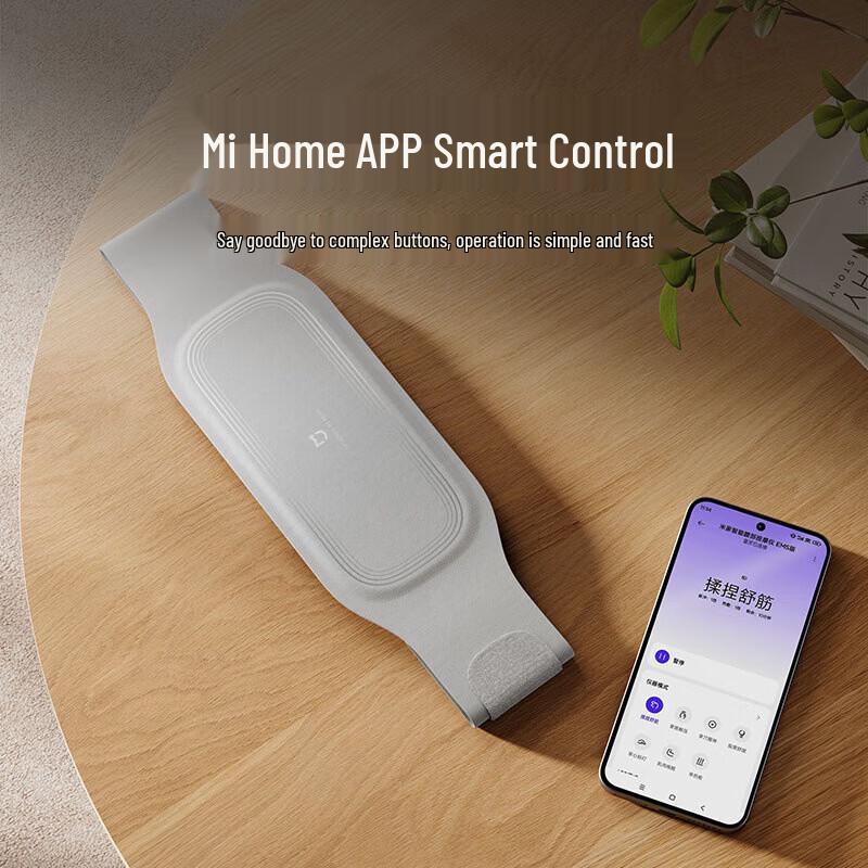Умный массажер для талии Xiaomi Mijia - Версия EMS, китайская вилка (адаптер в комплекте)