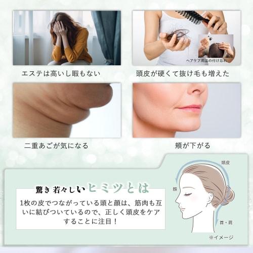 Kiboer Electric Brush Facial Beauty Device Electric Scalp Brush Scalp Care Face Care Single Use EMS RF EP Micro Current Light Beauty Lotion Box Includ