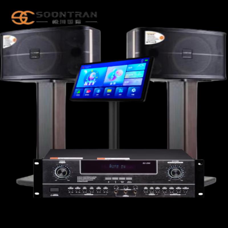 Songchuan SP2-11 Home KTV Professional Audio System CN plug (adapter included) (CN version)
