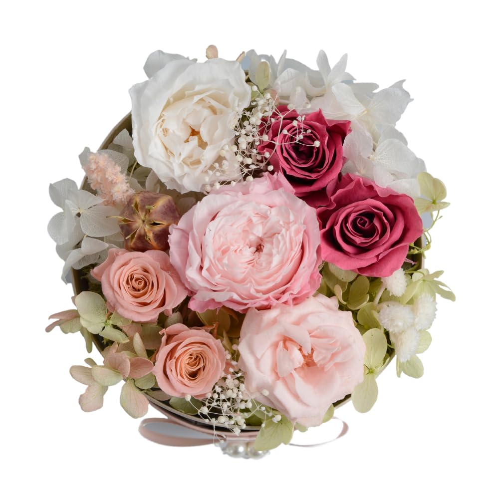 Azurosa Preserved Flower Arrangement, Popular Birthday Gift, Round Box, Pink Roses, Hydrangeas, and Baby's Breath