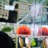 Кормушка для аквариума на присоске Поднос-кормушка для аквариума Прозрачная миска для корма в аквариуме для черепах, бетт, тетр, креветок, морской воды