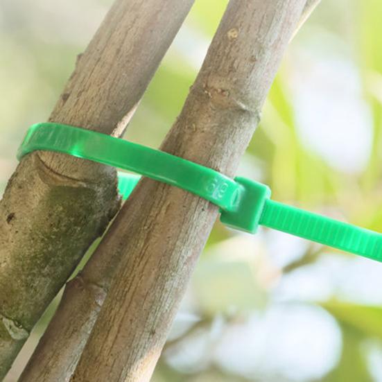 100 Pcs Nylon Zip Ties UV Resistant Self Locking Zip Ties Heavy Duty Plant Ties Cable Ties for Christmas Garden Plants Fence Holiday Lights