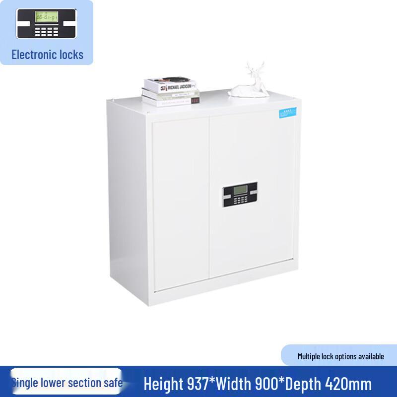 Ayub Fingerprint & Electronic Password Confidential Cabinet