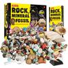 XXTOYS Set of Mineral Gemstone Natural Ore Natural Rock Mineral Geology Science Kids Gift 250-Piece Specimens, Toys, Fossils, Geodes, Fossils, &