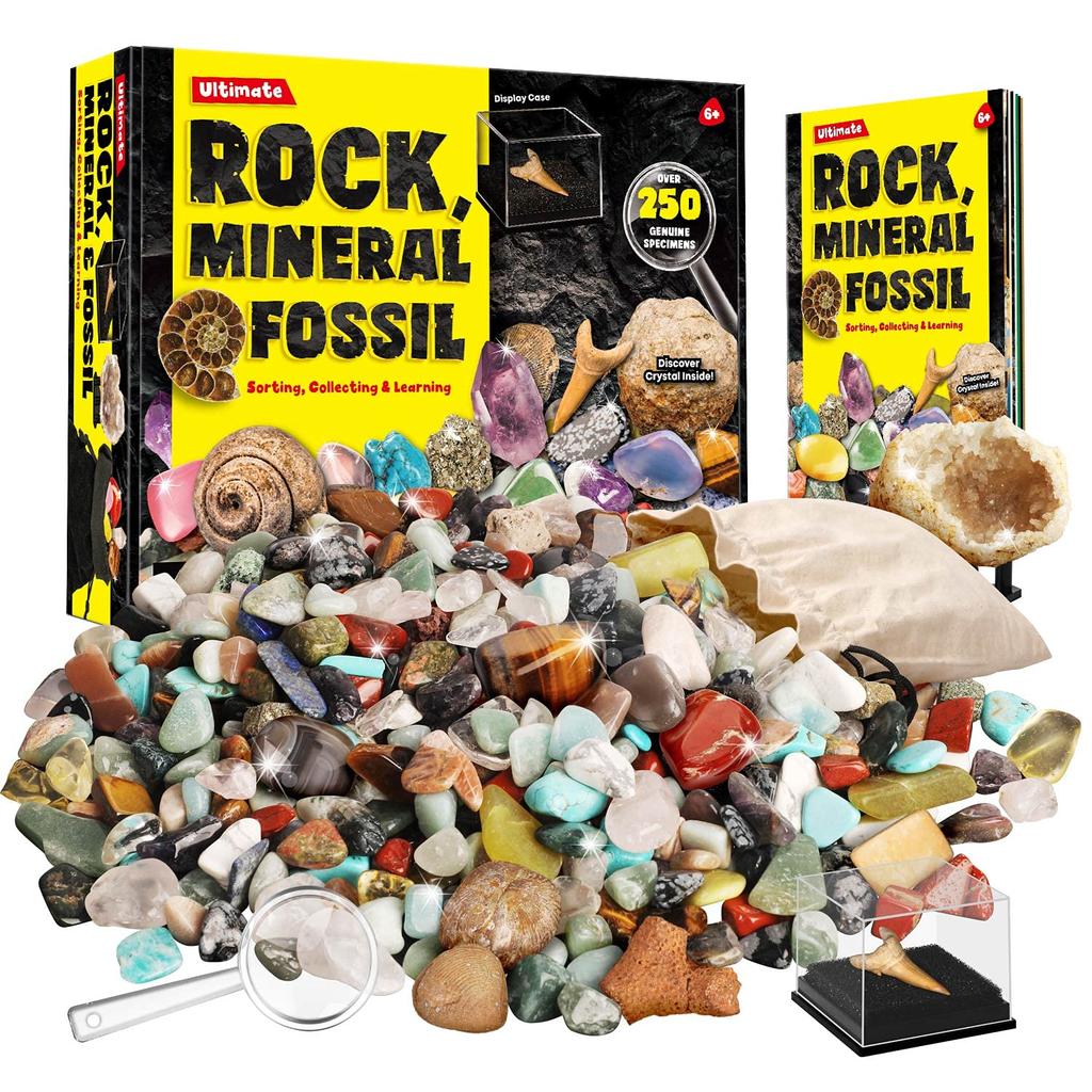 XXTOYS Set of Mineral Gemstone Natural Ore Natural Rock Mineral Geology Science Kids Gift 250-Piece Specimens, Toys, Fossils, Geodes, Fossils, &