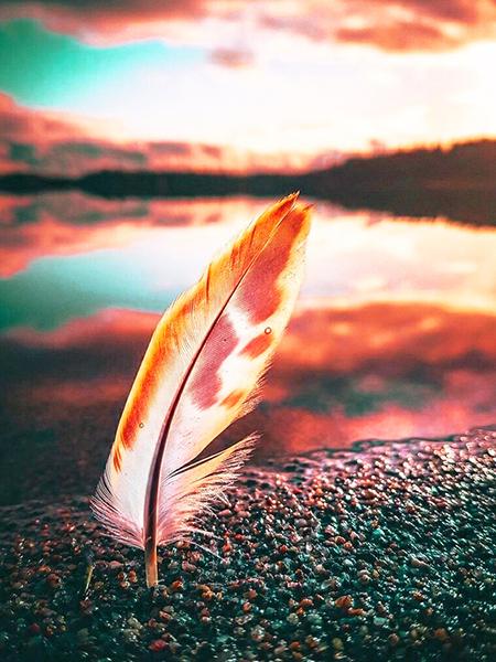 5D DIY алмазная живопись закат набор для вышивки крестом Алмазная вышивка перо мозаика пейзаж распродажа картина стразы искусство