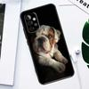 British English Bulldog For Samsung Galaxy A52 A22 A32 A54 A34 A14 A55 A35 A15 A53 A33 A13 A05 A06 A16 Phone Case