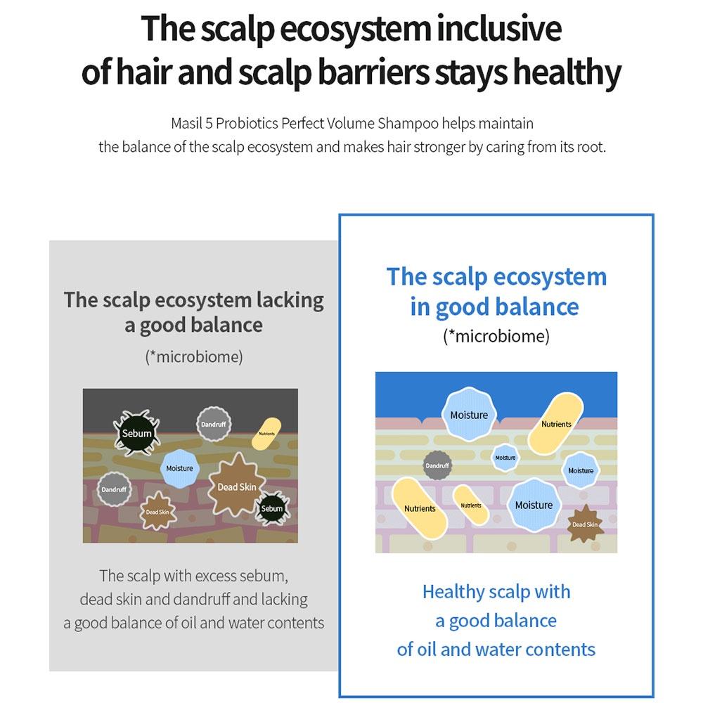 Masil 5 пробиотиков Шампунь для идеального объема 8 мл X 20 шт. Портативный дорожный шампунь для тонких тонких волос, улучшающий шелушение кожи головы, осветляющий шампунь для тусклых волос