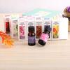10ml Plant Essential Oil Water Soluble for Car Home Air Humidifier Freshener