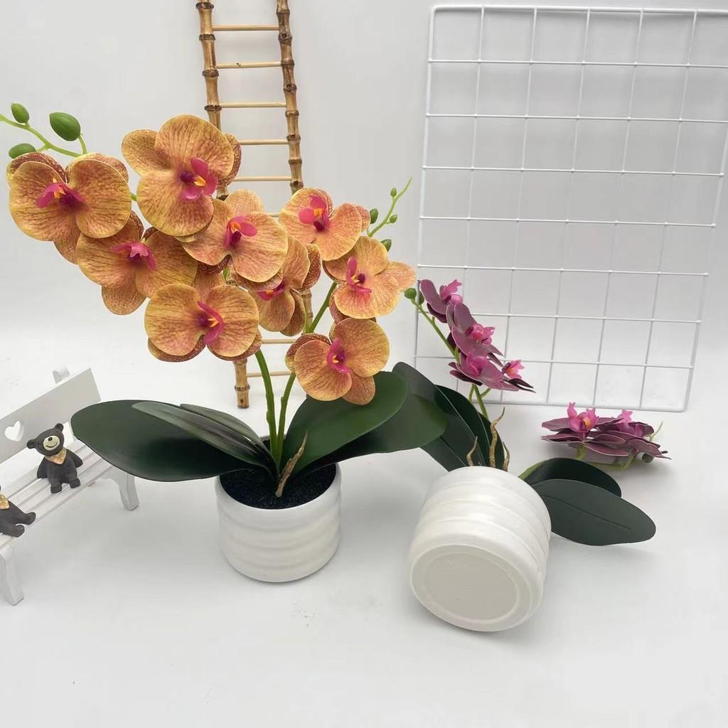 Phalaenopsis Artificial Flower Plant Pot For Wedding Decor And Photography Indoor Outdoor Display