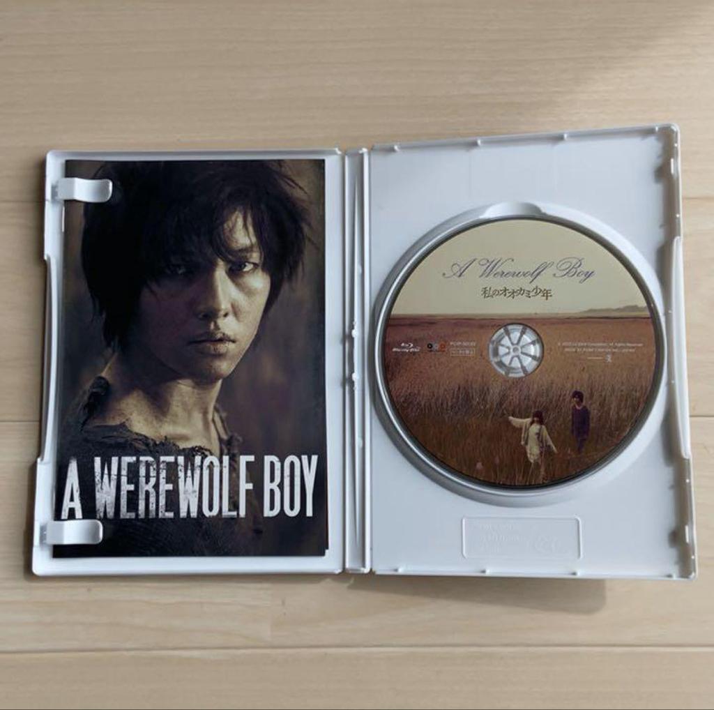 [USED] Blu-ray "A Werewolf Boy" Cell Version Song Joong-ki