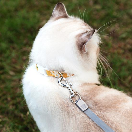 Поводок-рулетка для собак 9,84 фута, поводок для выгула собак с одноручным тормозом, поводок для мелких и средних собак и кошек