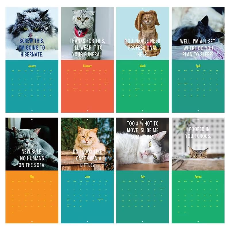 1Pcs Pissed Off Cats Calendar 2026-12 - Funny Cat Wall Calendar Creative Calendar 12-Month Cat Calendar with Ugly Cat for Notes