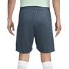 Nike Мужские спортивные штаны для футбола Dri Fit Цвет: Faded Spruce/Bicoastal Color/Enamel Green FQ2426-359