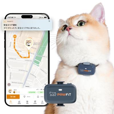 Pawfit Lite 4G GPS-трекер для кошек Дизайн Отслеживание Мониторинг активности История местоположений Неограниченный радиус действия В комплекте безопасный ошейник Угольно-серый