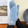 Korean Style Solid Color Gloves Plush Cycling Driving Gloves Cute Full Finger Mittens  Girls