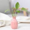 Ins Ceramics Flower Vase Nordic Hydroponics Vases Creative Room Decor Mini Flower Plant Bottle Pots Table Ornament Colorful Vase